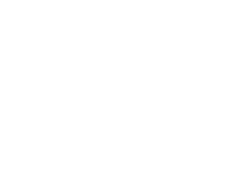 RINA_logo 1